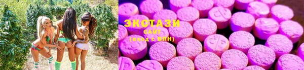 apvp Алексеевка