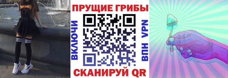 даркнет сайт  omg ССЫЛКА  Псилоцибиновые грибы Psilocybe  Бакал 